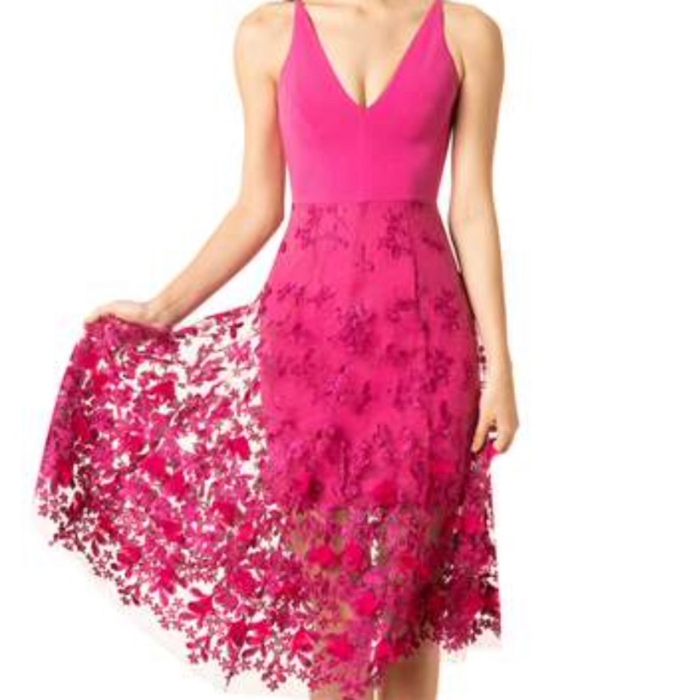 Dress the Population Fuchsia Lace Midi Dress